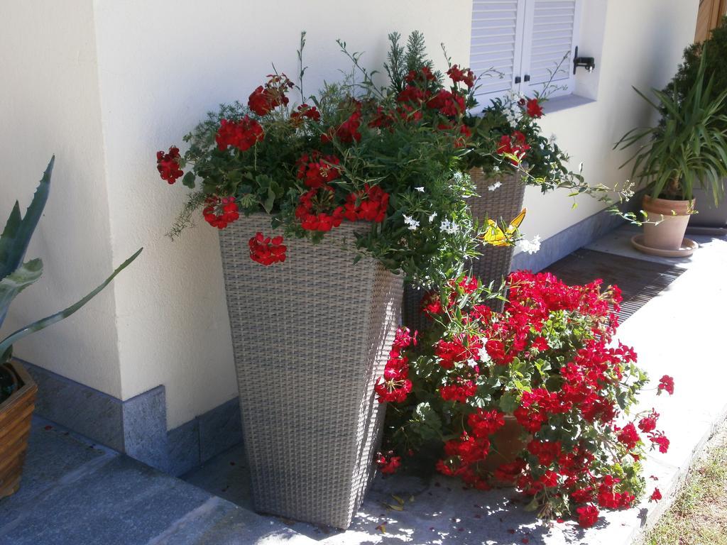 Garni Hattlerhof B&B Bruneck Exterior foto